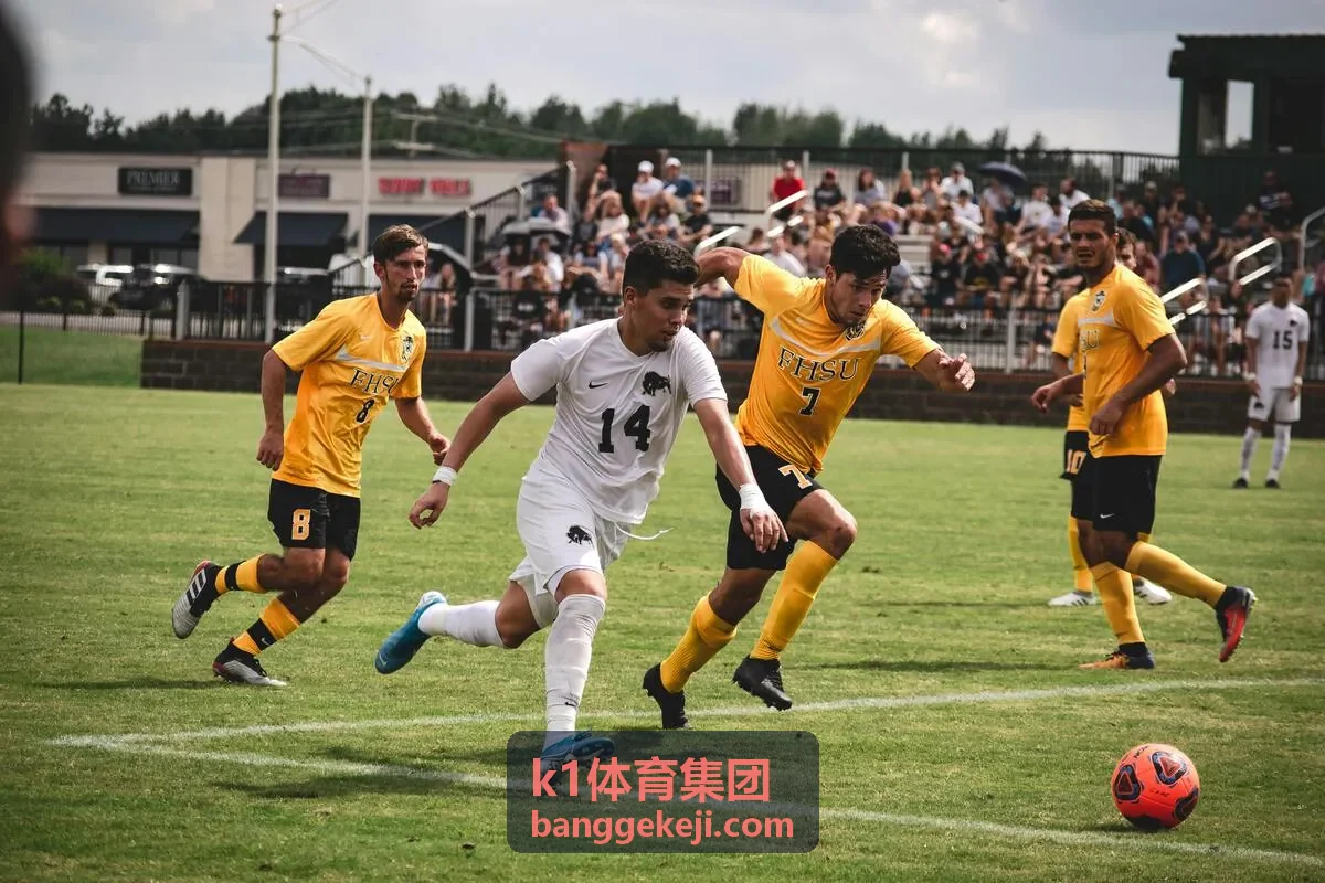 k1体育集团科技体育馆视觉